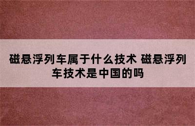 磁悬浮列车属于什么技术 磁悬浮列车技术是中国的吗